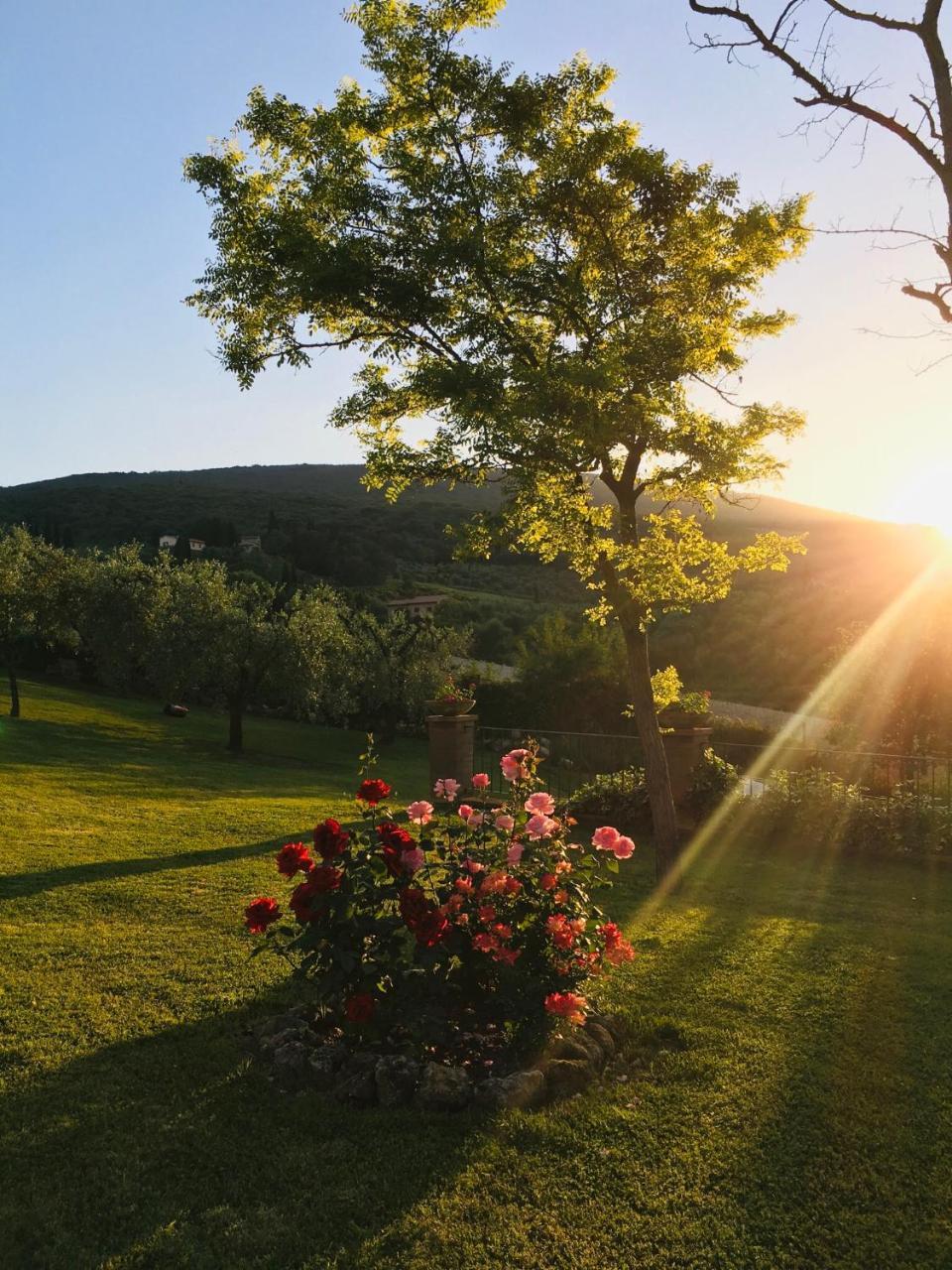 Podere Bellavista Сан-Джиминьяно Экстерьер фото
