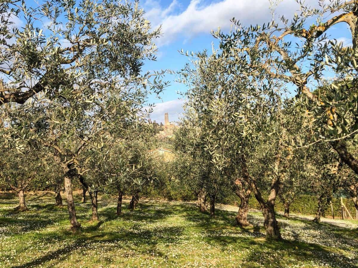 Podere Bellavista Сан-Джиминьяно Экстерьер фото